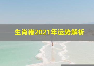 生肖猪2021年运势解析