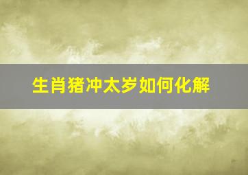 生肖猪冲太岁如何化解