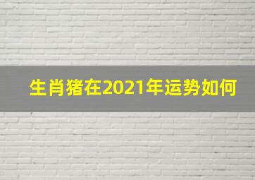 生肖猪在2021年运势如何