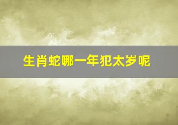 生肖蛇哪一年犯太岁呢