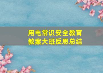 用电常识安全教育教案大班反思总结