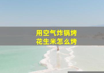 用空气炸锅烤花生米怎么烤