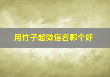 用竹子起微信名哪个好