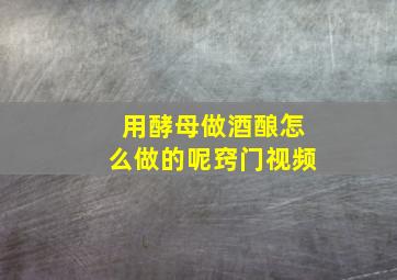 用酵母做酒酿怎么做的呢窍门视频