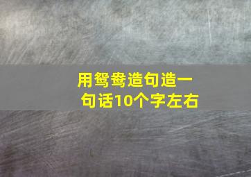 用鸳鸯造句造一句话10个字左右