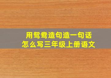 用鸳鸯造句造一句话怎么写三年级上册语文