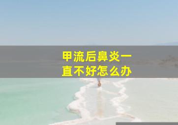 甲流后鼻炎一直不好怎么办