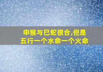 申猴与巳蛇很合,但是五行一个水命一个火命