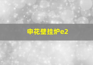 申花壁挂炉e2