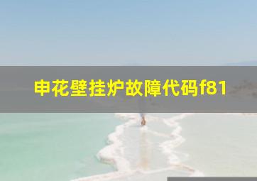 申花壁挂炉故障代码f81