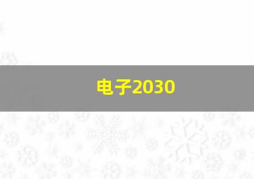 电子2030