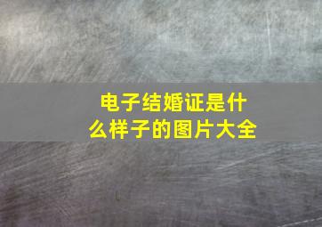 电子结婚证是什么样子的图片大全