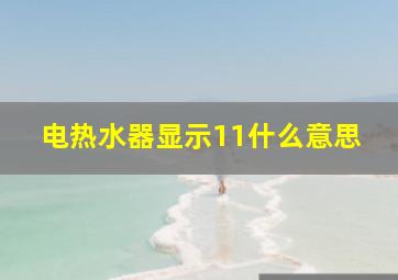 电热水器显示11什么意思