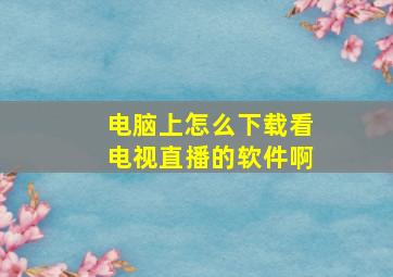 电脑上怎么下载看电视直播的软件啊