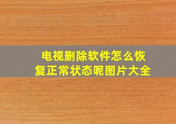 电视删除软件怎么恢复正常状态呢图片大全