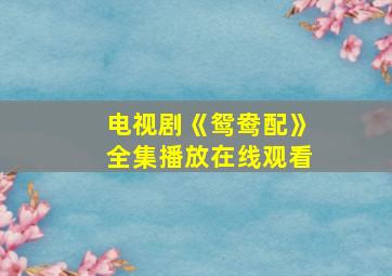 电视剧《鸳鸯配》全集播放在线观看