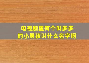 电视剧里有个叫多多的小男孩叫什么名字啊