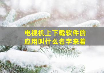 电视机上下载软件的应用叫什么名字来着