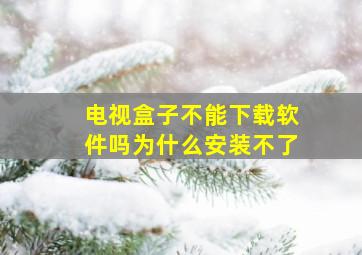 电视盒子不能下载软件吗为什么安装不了