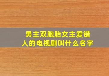 男主双胞胎女主爱错人的电视剧叫什么名字