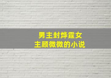 男主封烨霆女主顾微微的小说