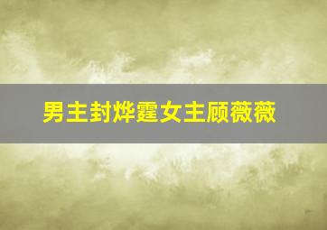 男主封烨霆女主顾薇薇