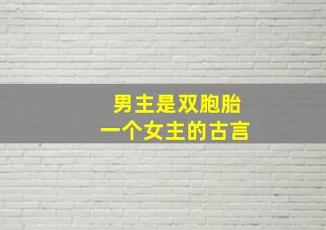 男主是双胞胎一个女主的古言