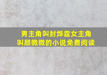 男主角叫封烨霆女主角叫顾微微的小说免费阅读