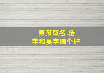 男孩取名.浩字和昊字哪个好