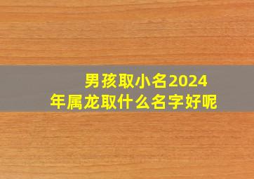 男孩取小名2024年属龙取什么名字好呢