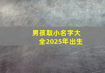 男孩取小名字大全2025年出生