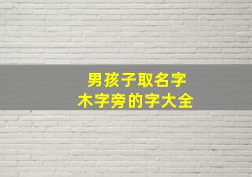 男孩子取名字木字旁的字大全