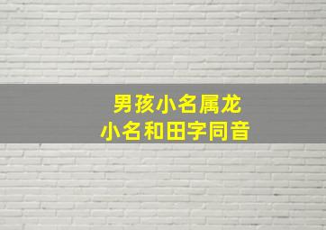 男孩小名属龙小名和田字同音