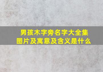 男孩木字旁名字大全集图片及寓意及含义是什么