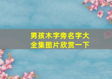 男孩木字旁名字大全集图片欣赏一下