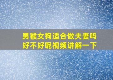 男猴女狗适合做夫妻吗好不好呢视频讲解一下