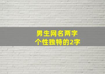 男生网名两字个性独特的2字