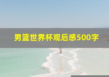 男篮世界杯观后感500字