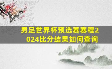 男足世界杯预选赛赛程2024比分结果如何查询