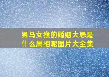 男马女猴的婚姻大忌是什么属相呢图片大全集