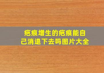 疤痕增生的疤痕能自己消退下去吗图片大全