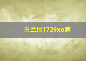 白兰地1729xo酒