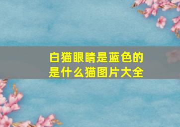 白猫眼睛是蓝色的是什么猫图片大全