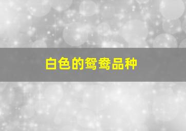 白色的鸳鸯品种