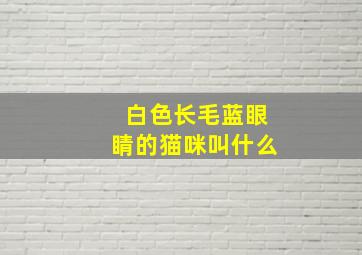 白色长毛蓝眼睛的猫咪叫什么