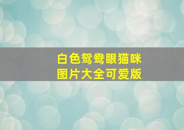 白色鸳鸯眼猫咪图片大全可爱版