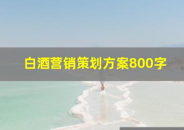 白酒营销策划方案800字