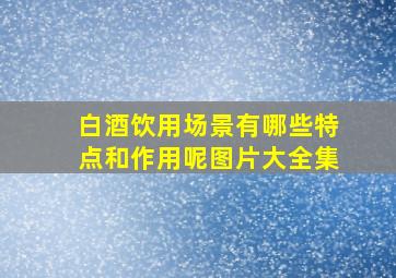 白酒饮用场景有哪些特点和作用呢图片大全集