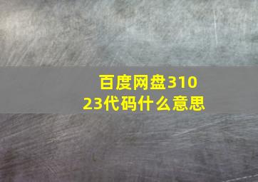 百度网盘31023代码什么意思