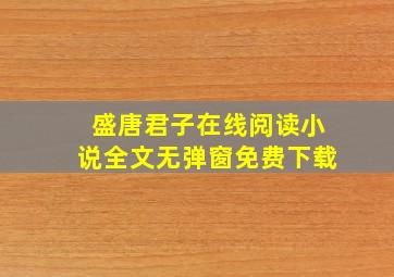 盛唐君子在线阅读小说全文无弹窗免费下载